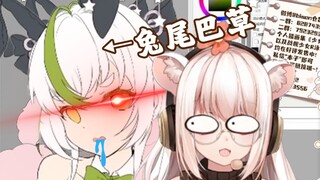 甲方：我馋仓鼠太太好久了(物理咀嚼)