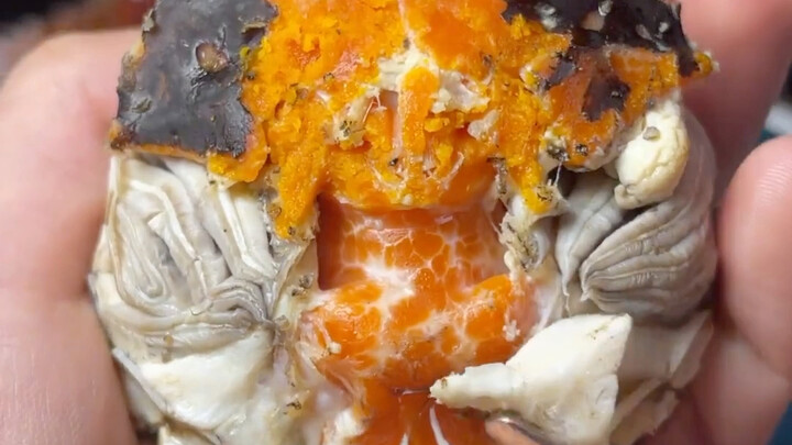 الطريقة الصحيحة لتناول سرطان الماء العذب البحري