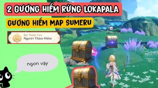 2 Gương Hiếm Rừng Lokapala | Giải Đố Gương hiếm Sumeru [ Genshin Impact ]