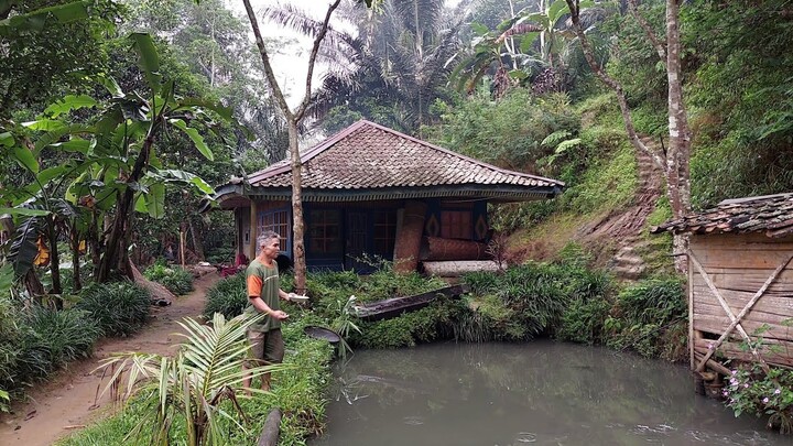 TENTRAMNYA Tinggal Di Rumah Tengah Hutan, Terpencil Tapi Bikin Hati Damai | Pedesaan Sunda