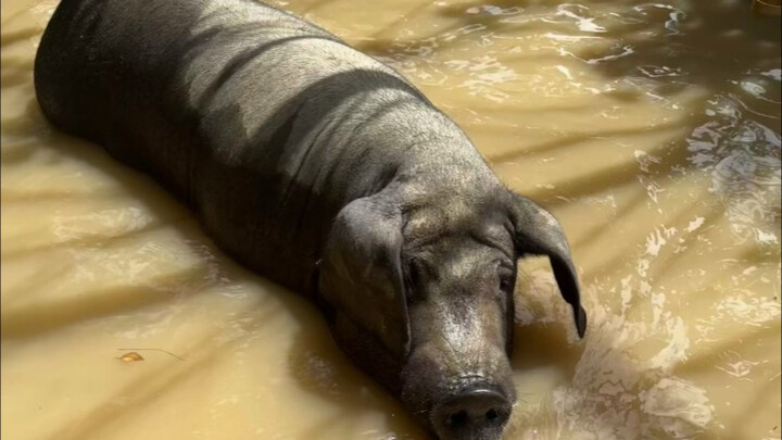 Am I even an eco-farm? Let’s hear what everyone thinks!