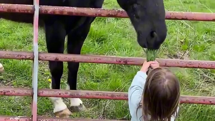 《สุดโต่งมาก》