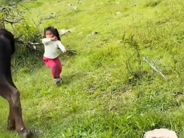 Didn’t they say animals can’t become spirits after the founding of the People’s Republic?