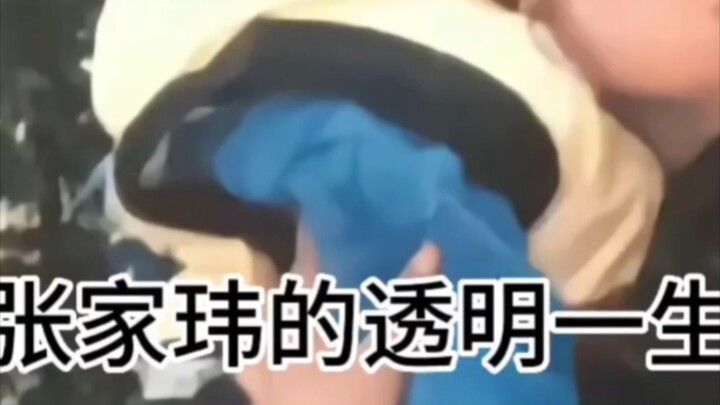 Từ giây phút chào đời, cuộc đời của Trương Gia Vỹ (Trương Lăng Hách) đã trong suốt như pha lê haha, 