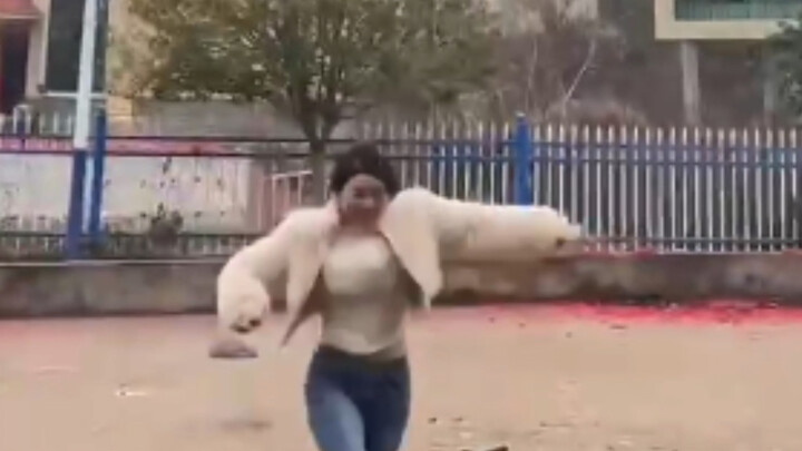 Tôi chỉ hỏi bạn rằng pháo hoa này có lớn không?