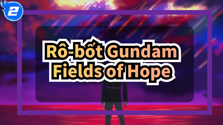 Rô-bốt Gundam|Bản Cover dịu dàng！【Gundam SEED】Fields of Hope_2