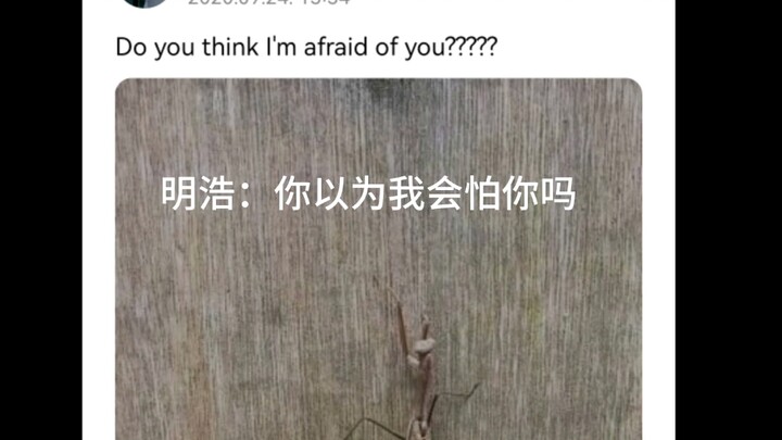 Seo Myung-ho: You think I’d be scared of you? The next second I’m like… hahaha哈哈哈