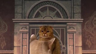 【Buried Flillian】Cat meme 2-minute speedrun second test