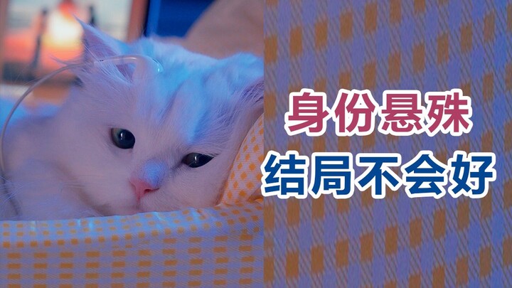 I’ve fallen for a male janitor…