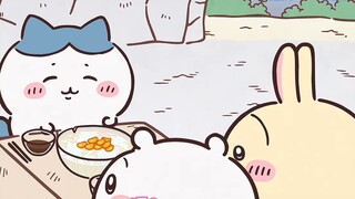 【Suara Asli】Chiikawa Subtitle Bahasa Mandarin Episode 261 "Bola Mie Goreng/Soba Jeruk"