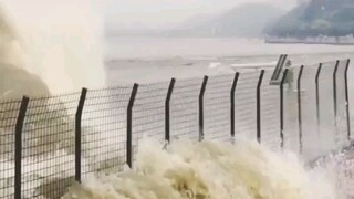 Thủy triều sông Tiền Đường đang đến, mọi người chú ý an toàn