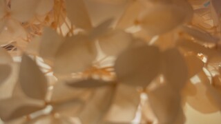 买了个自动挡弹唱吉他玩具试试！果然新手弹唱很容易分散注意力哎！[兰音_兔脑过载]还得再练练！手机直录的，音质可能不是很好！