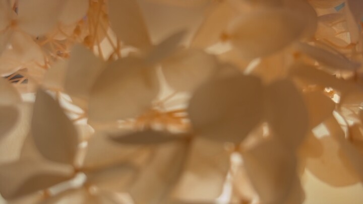 I bought an automatic-gear strumming guitar toy to give it a try! As expected, beginners easily get 