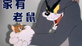 ♫家 有 猫 鼠♫