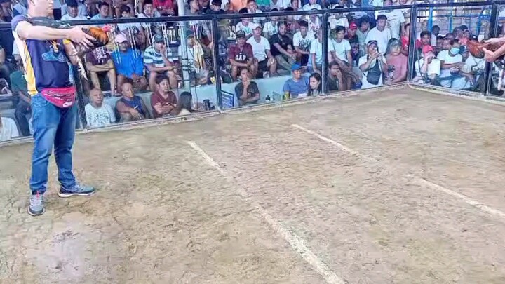 dec 27 2023, 1st fight catulinan