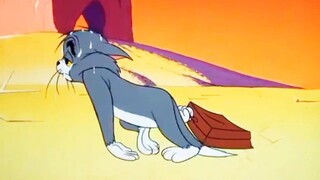 Tom and jerry | jerry quite contrary