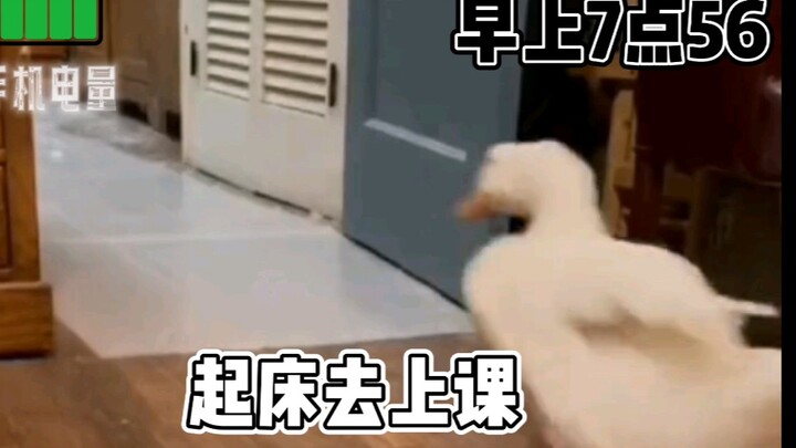 当代大学生一天的生活