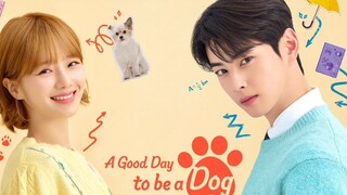 A Good Day To Be A Dog ep2 (Tagalog dubbed)