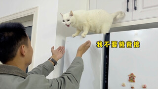 Lokasi standar ganda besar: hubungan ayah dan anak kembali retak