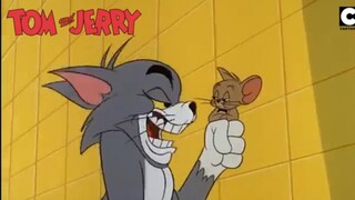 tom and jerry