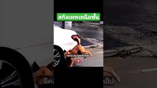 สกิลเทพเหนือชั้น