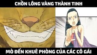 Chồn Lông Vàng Thành Tinh Ngày Nào Cũng Mò Đến Khuê Phòng Của Các Cô Gái