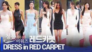 청룡 시리즈 어워즈 레드카펫 | 김고은, 임윤아, 정호연, 박지후, 조이현, 주현영, 노정의, 혜리, 유라..[BLUE DRAGON SERIES AWARDS Red Carpet]