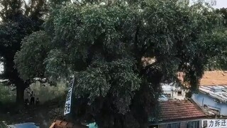 &{เต็มเรื่อง}หนุ่มจนถูกพี่น้องหักหลังใส่ร้ายติดคุก 10 ปี กลับมาพร้อมฐานะมหาเศรษฐี