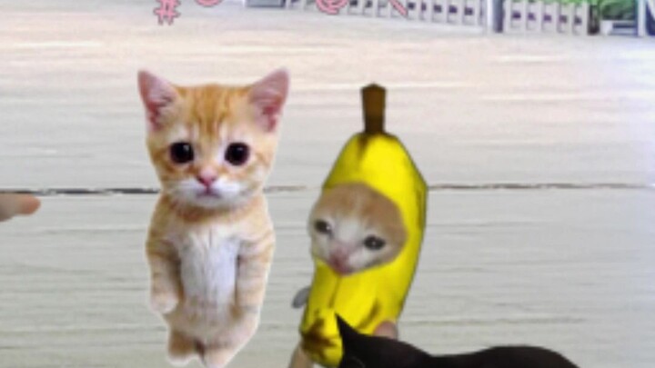 Banana Cat and the Doll Are Yelling by the Road—One Touch and They Fall Over!