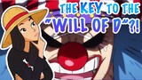 WHO KNOWS THE WILL OF D?! || One Piece Theories & Discussion