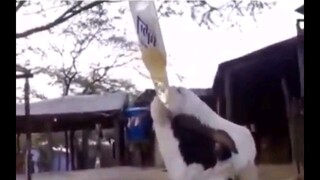 Dê này sa đọa quá #videohaynhat