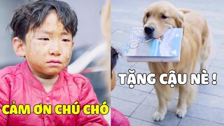 Lộ Hố | Cảm Động LỘ HỐ Giúp Đỡ CẬU BÉ NGHÈO Bên Đường 😥 Gâu Đần Official