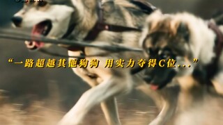 “陪我再战一次吧 多哥！”