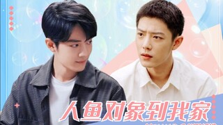 [Xiao Zhan Narcissus] Shuang Gu ‖ San Ran ‖ "Nàng tiên cá đến nhà tôi" Tập 5 ‖ Bánh quy ngọt ngào ‖ 