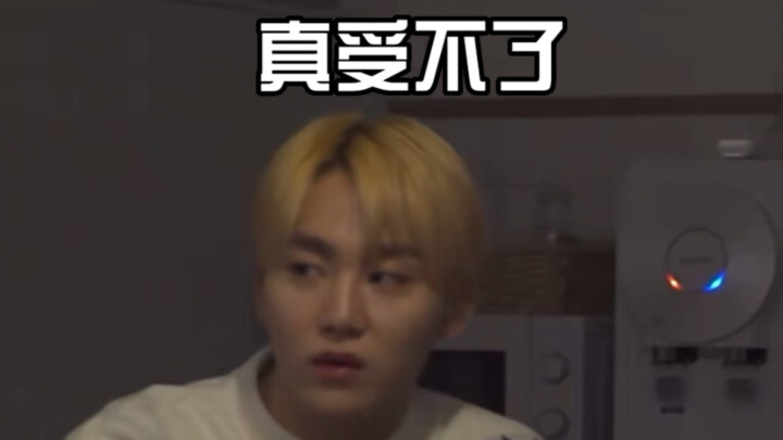 【SEVENTEEN】Nhóm nhạc nổi loạn (đừng ai chiều chuộng ai cả)