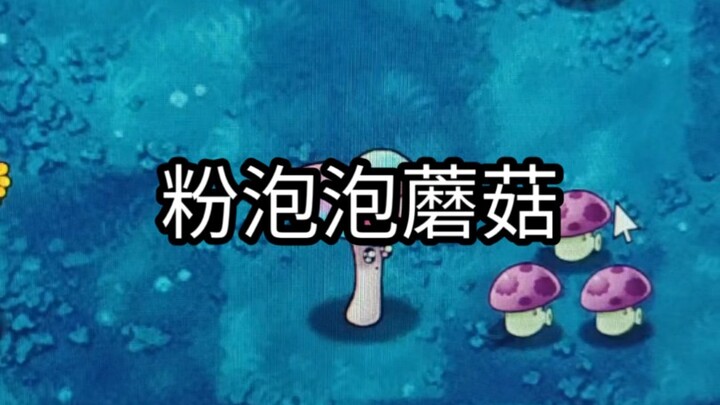 Plant: A Shy College Girl