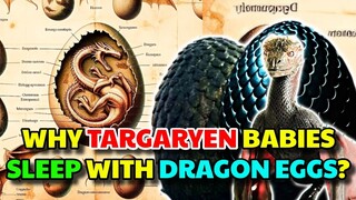 Dragon Eggs Anatomy – How Targaryens Hatch Dragon Eggs? Why Fossilized Dragons Shells So Valuable?