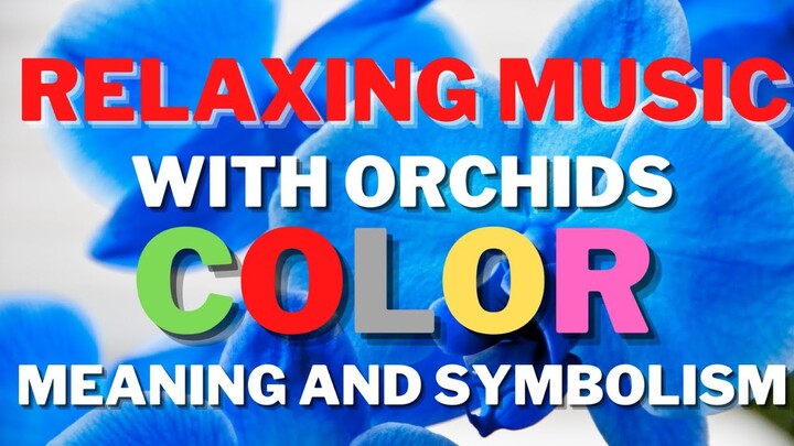 RELAXING MUSIC WITH ORCHIDS COLOR MEANING AND SYMBOLISM