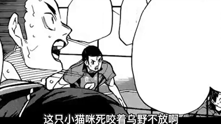 Garbage Dump Showdown 8: Beating up Otokoma! All of Karasuno went crazy?! [Haikyuu! manga commentary
