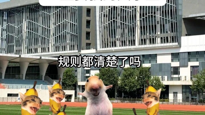 Mahasiswa yang selalu ingin menjadi yang terbaik