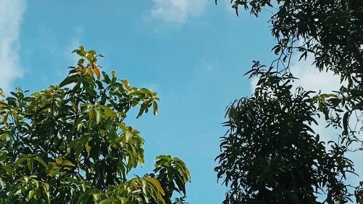 নীল আকাশের । ভিডিও-০৪