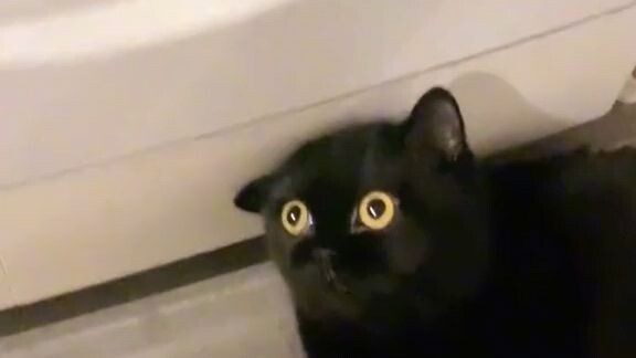 (☉｡☉)!