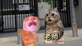 ทำหน้าที่เป็นแบบอย่าง