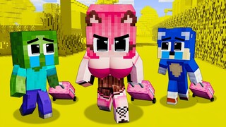 Monster School : Sonic the Hedgehog 2 & Baby Zombie - Sad Story - Minecraft Animation