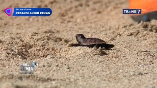 TRANS7 HD • REDAKSI SIANG AKHIR PEKAN • 24 OKTOBER 2025 • [ INDIHOMETV FEED ]