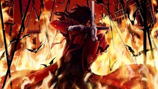 [HELLSING][AMV]神圣黑夜乃吾之毕生信仰，举起圣酒，共进圣餐，夜之圣军继续前行，万福玛利亚庇佑…