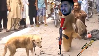 الباذنجان يهزم الكلب - الجزء الثاني