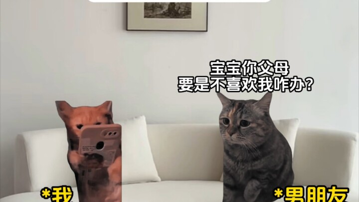 当我给老爸布了局时
