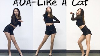 【可可】AOA猫步轻悄Like A Cat 没有猫耳朵的少女变猫 高跟鞋初尝试