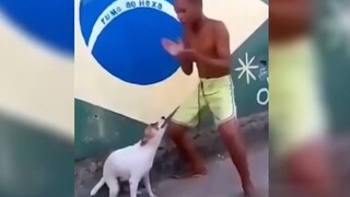 "These Are All Famous Scenes"